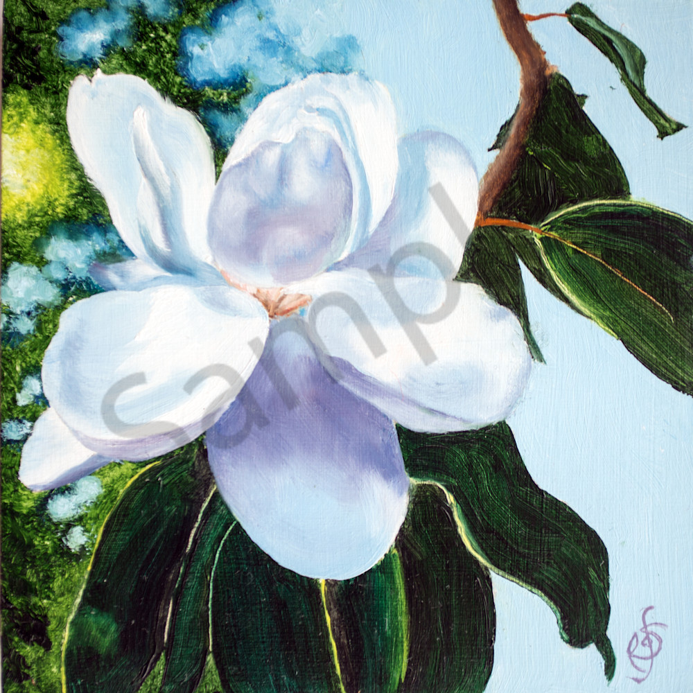Magnolia Art | Roxana Sinex Art