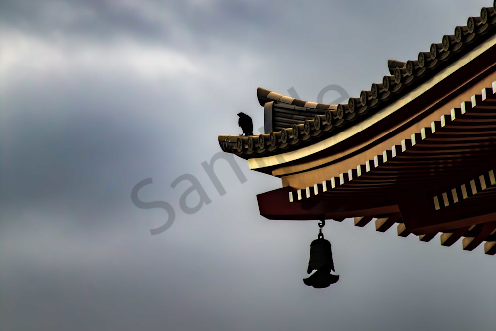 Crow On The Pagoda At Sensoji Photography Art | Photography by SC
