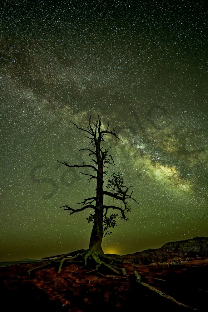 Bryce-canyon|national-park|milky-way