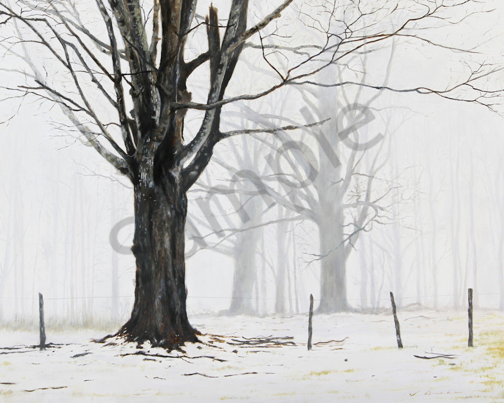 Giants In The Mist Art | Jason Drake Studio