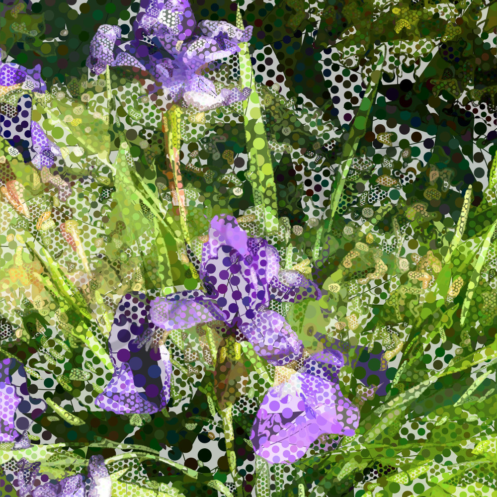 Peter Mc Clard   Iris 7131 85840 4 Art | Werlin Design Group, LLC dba Brilliance Gallery