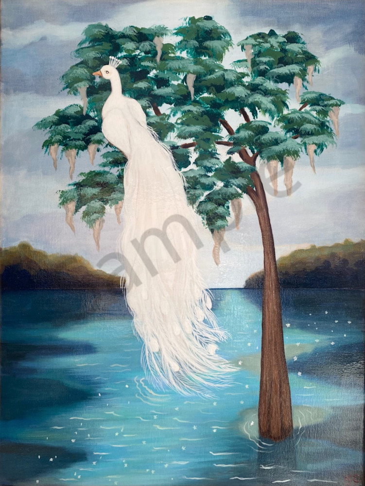 White Peacock  Art | Future Picassos, LLC