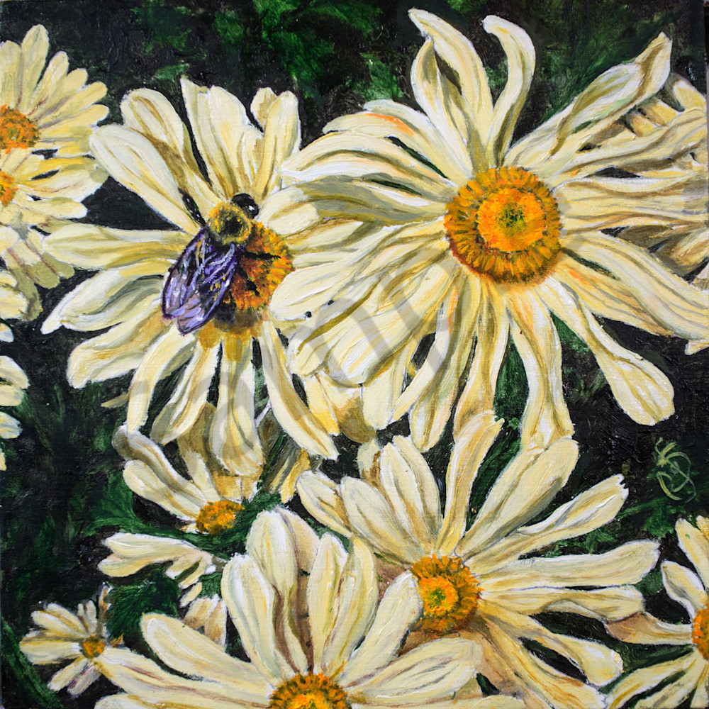 Chrysanthemum  Art | Roxana Sinex Art