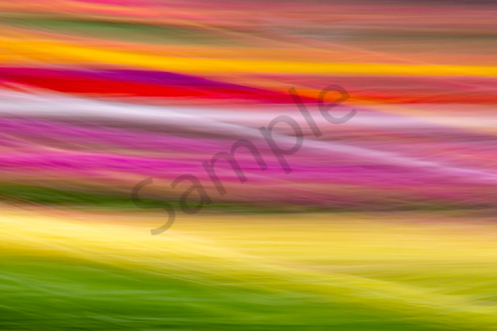 Chroma Field Abstract 1 photograph