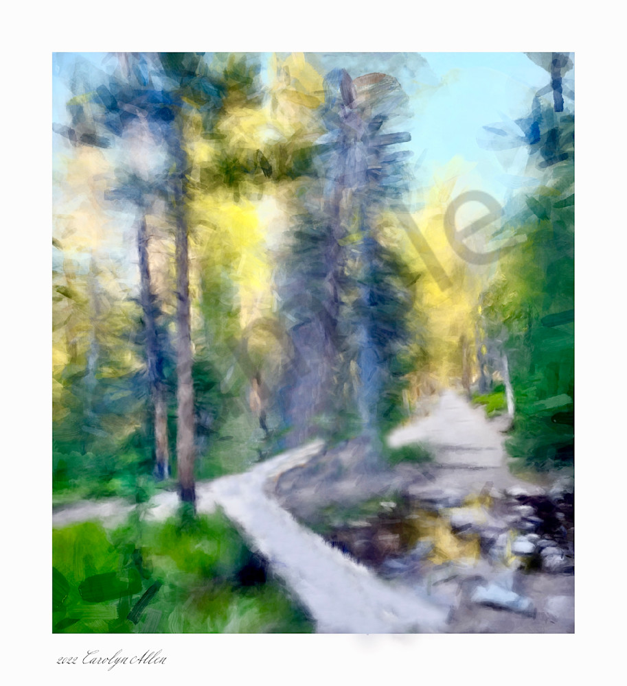Open Pathway Through The Woods Art | Carolyn Allen