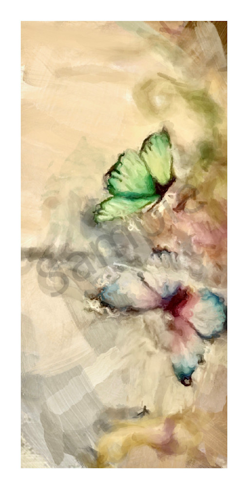Butterflies Art | Carolyn Allen