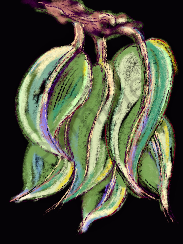 Leaf Cluster On Black Art | Carolyn Allen