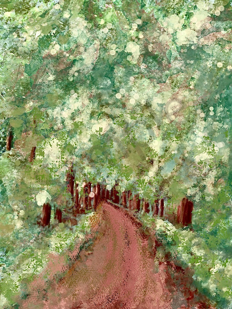 Pathway In Woods Art | Carolyn Allen