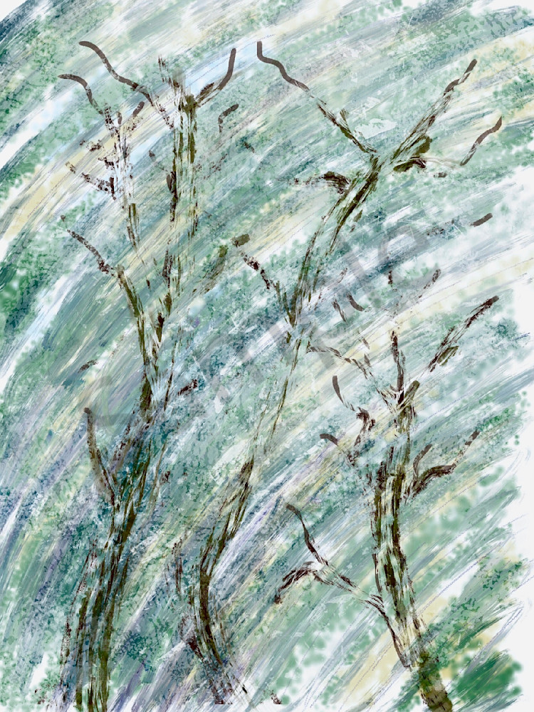 Tree Skeleton In Wind Art | Carolyn Allen