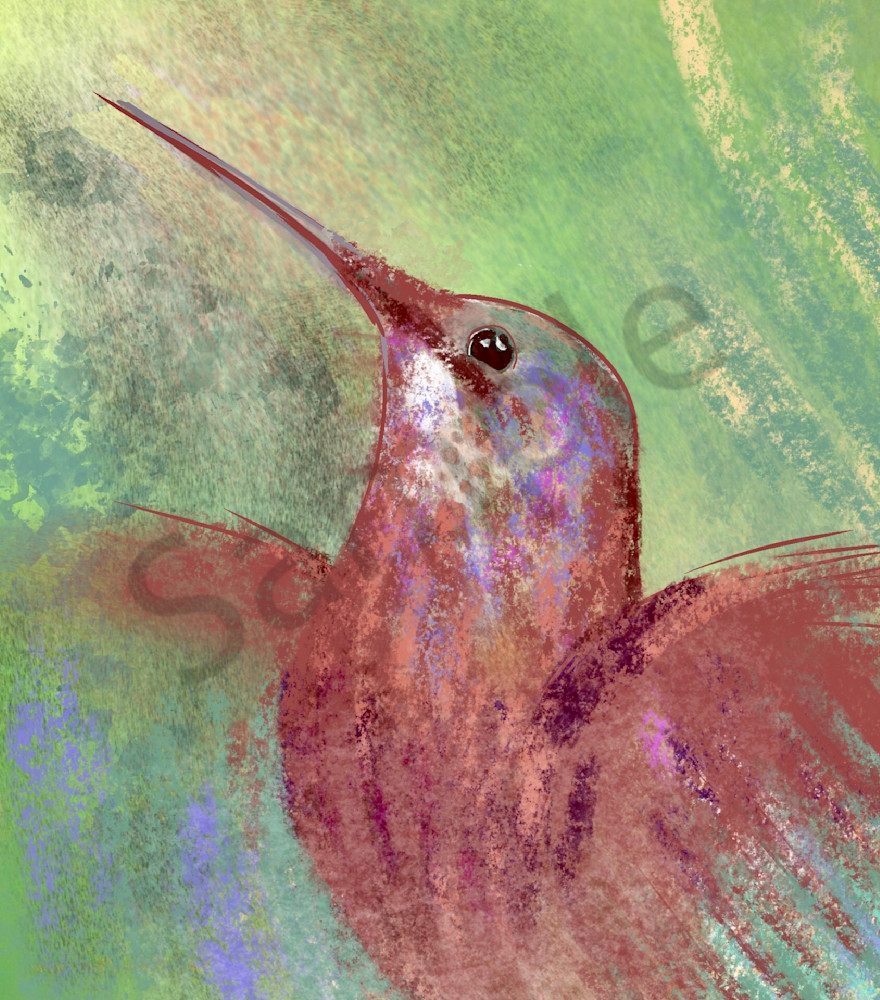 Hummingbird All Aflutter Art | Carolyn Allen