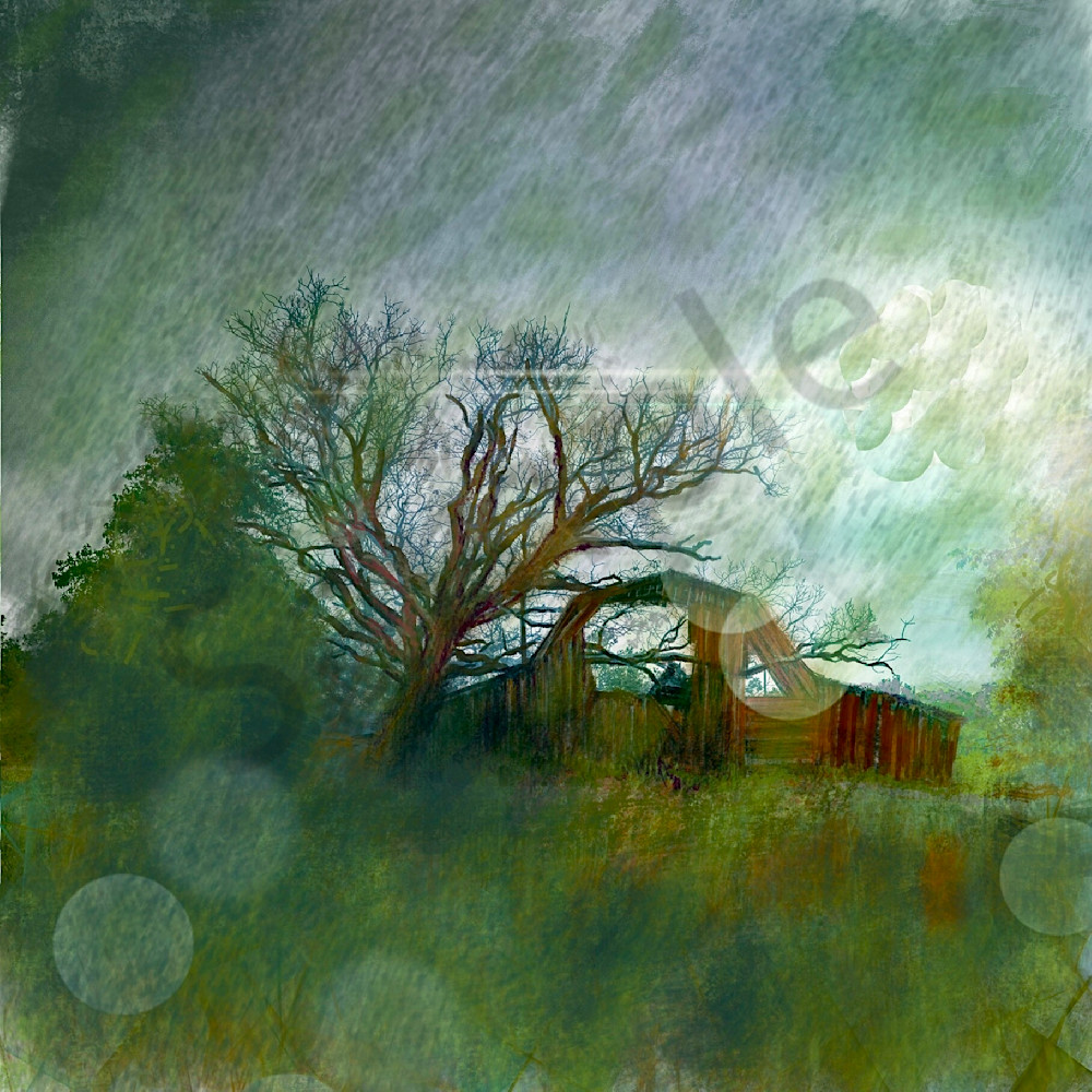 Weathered Barn Art | Carolyn Allen