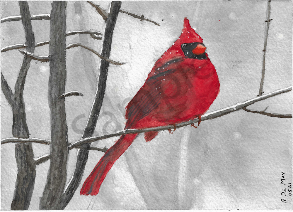 Cardinal In Snow Art | De May Studios, LLC