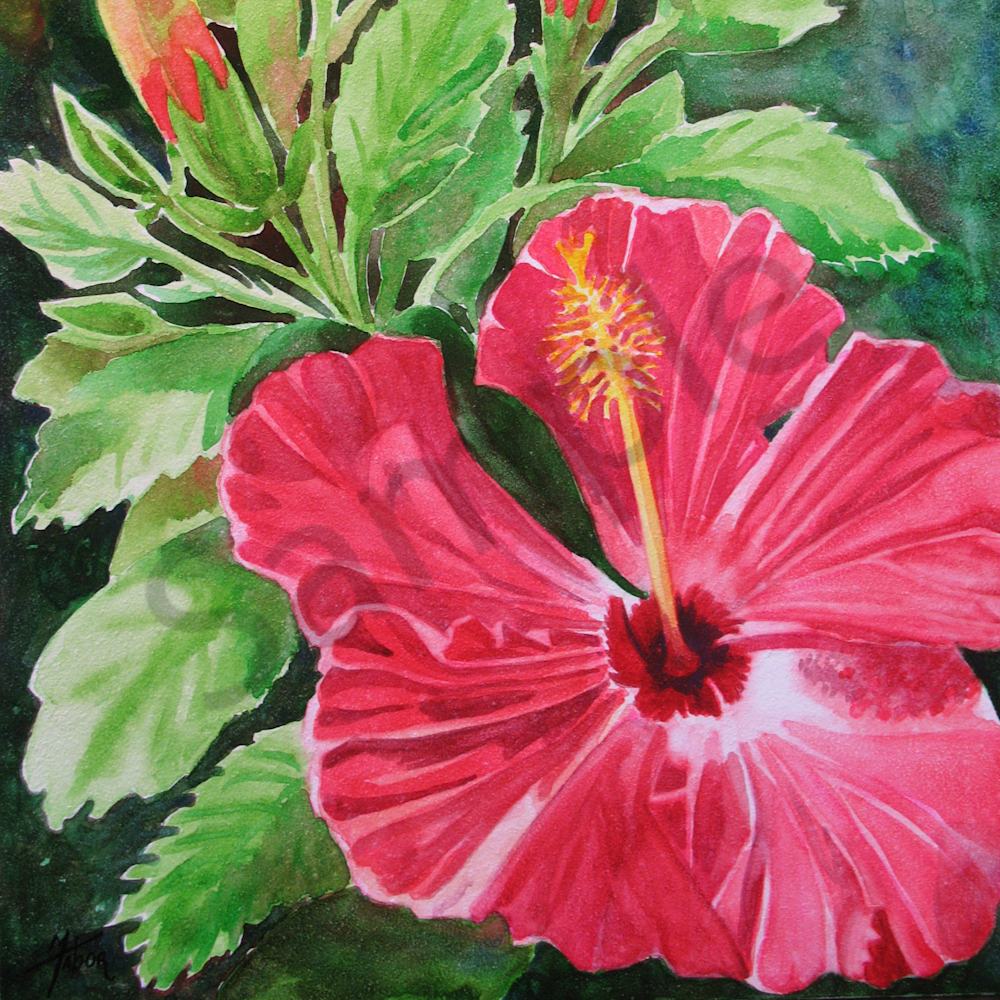 Tote Bag   Hibiscus 1 Art | Michele Tabor Kimbrough