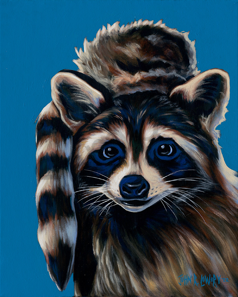 Painting of a raccoon wearing a raccoon cap by John R. Lowery, available as art prints.