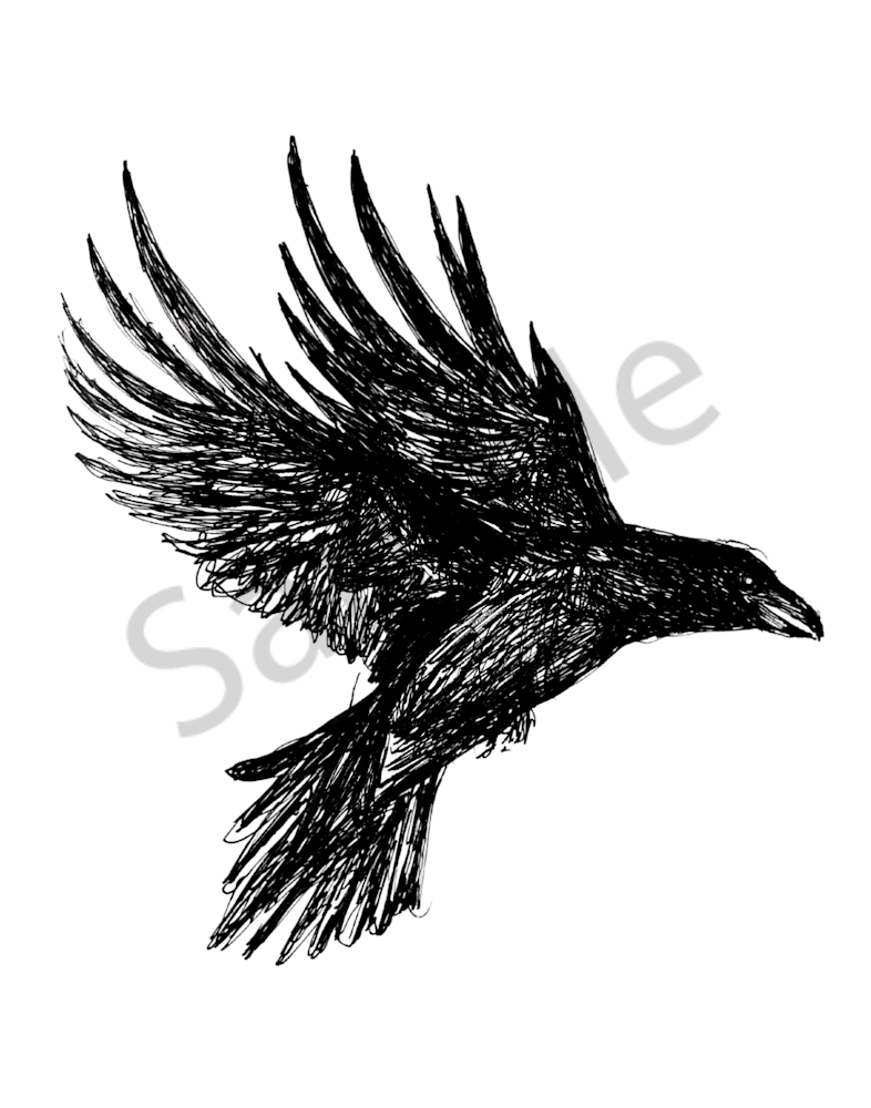 Crow In Flight Art | B. MacPherson Studio