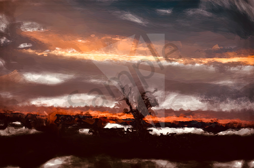 Ark Stanfield Sunsettree 4x Art | Carolyn Allen