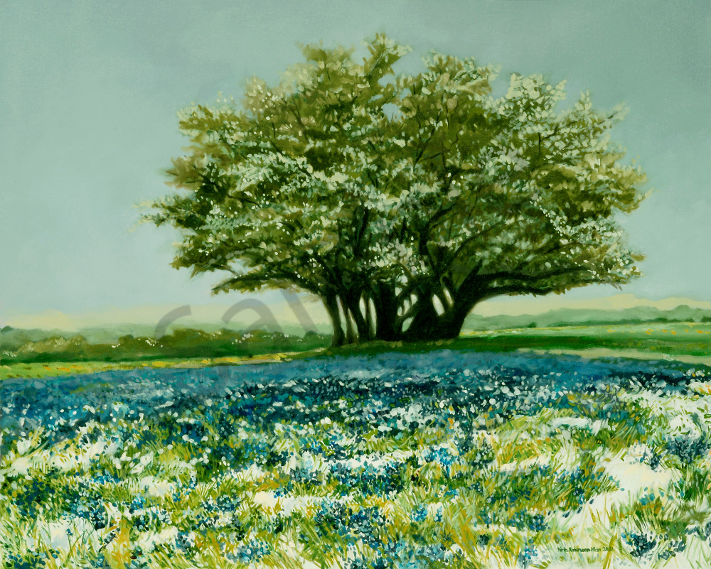 Snowy Oak And Bluebonnets Art | Karla Roberson Man