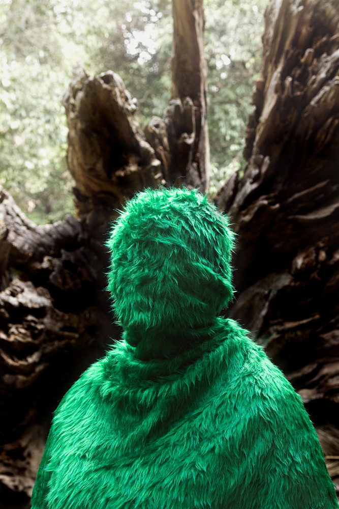 Kodama Art | Kranzberg Arts Foundation