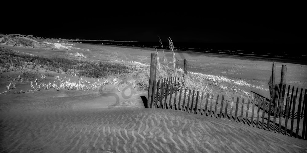 Fence Watching the Ocean