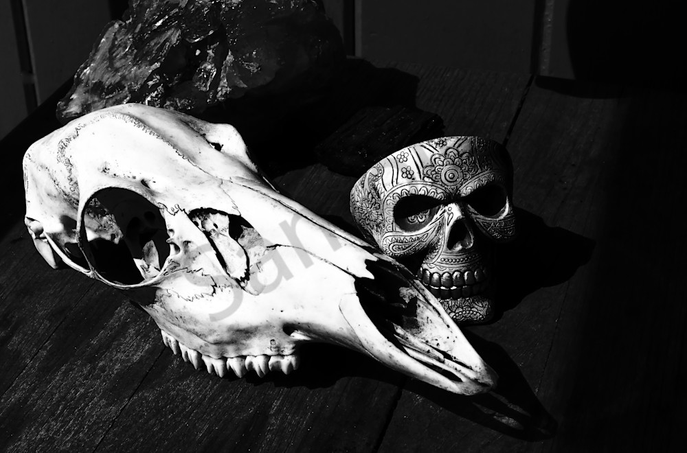 Skull Duggery, Colorado 9346 Art | Cameron/Baxter Galleries
