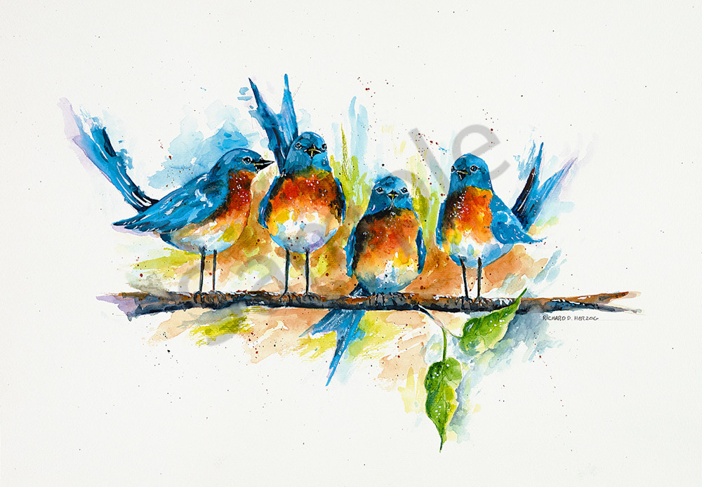 Bluebirds Art | Cincy Artwork