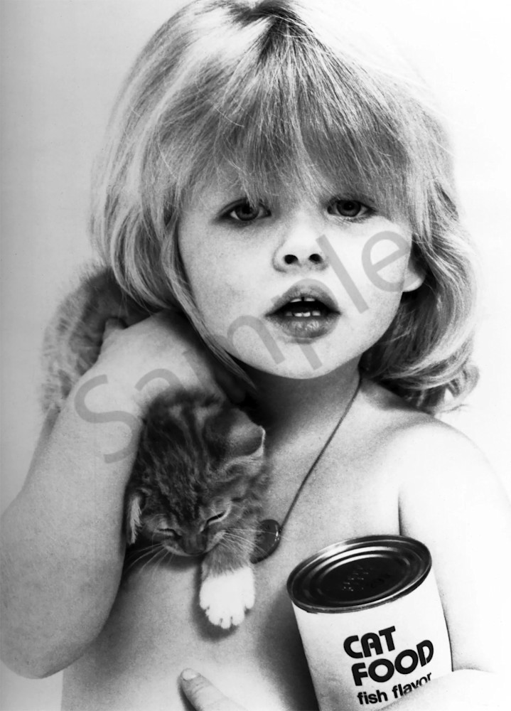 Cat Food Fish Flavor Art | Cameron/Baxter Galleries