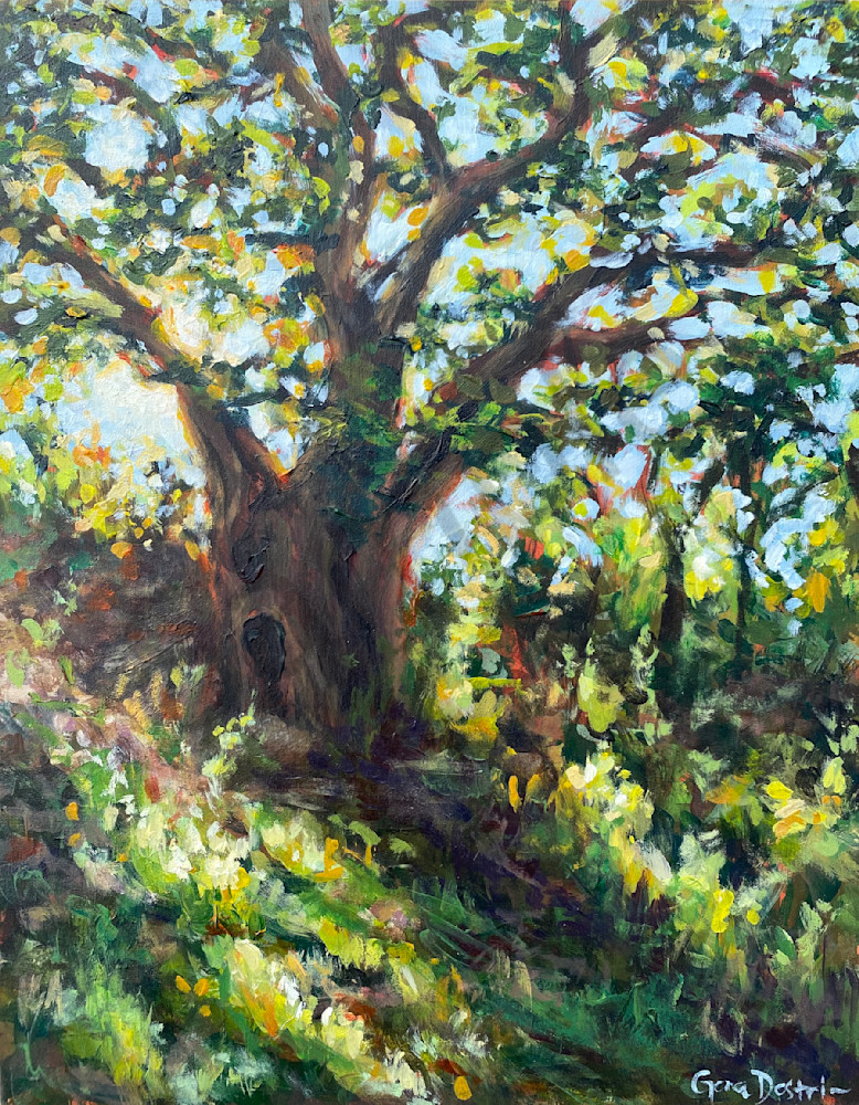 Oak At Garison Park   Buda Art | Gena Destri