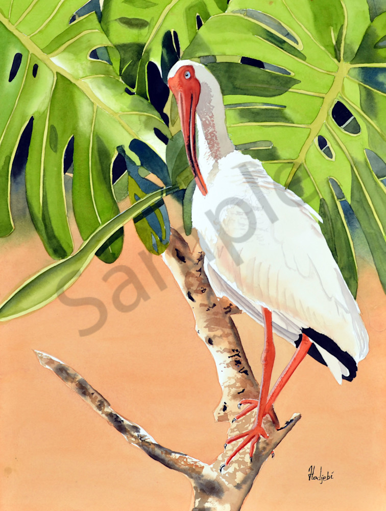 Musings Of A Lone Ibis Art | watercolorsbyshah