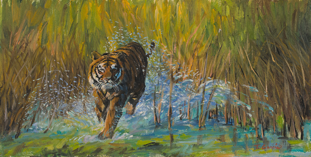 Running Tiger Art | Ted Garcia Fine Art
