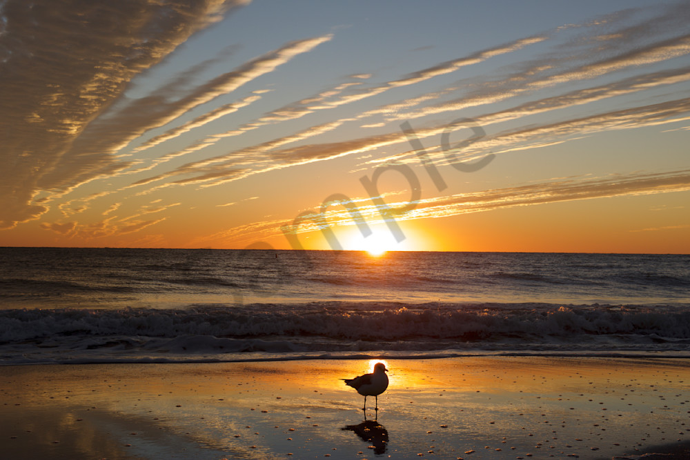 20141126 51 Photography Art | wayneastep