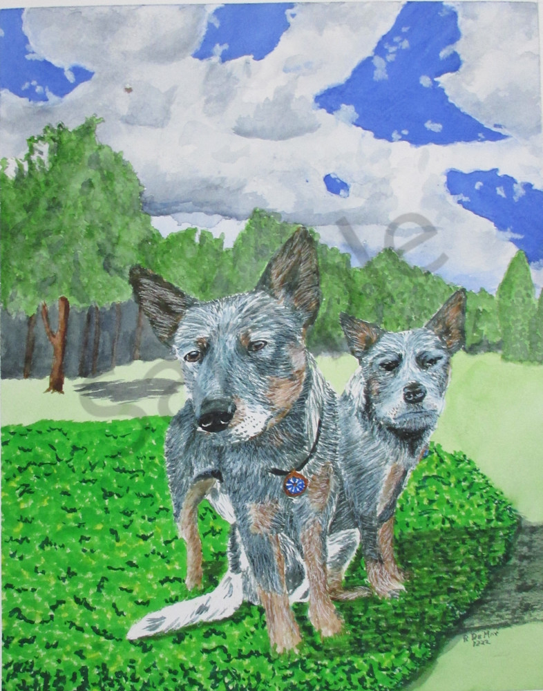 Cattle Dogs In The Pachysandra Art | De May Studios, LLC