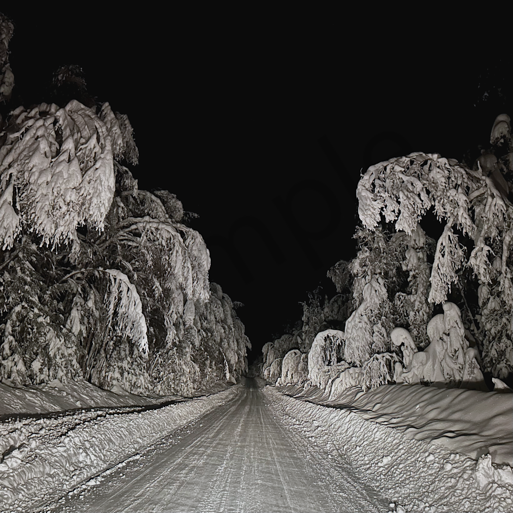 Winter Night: Moose Meadows, Ak Art | Shawn B Studios