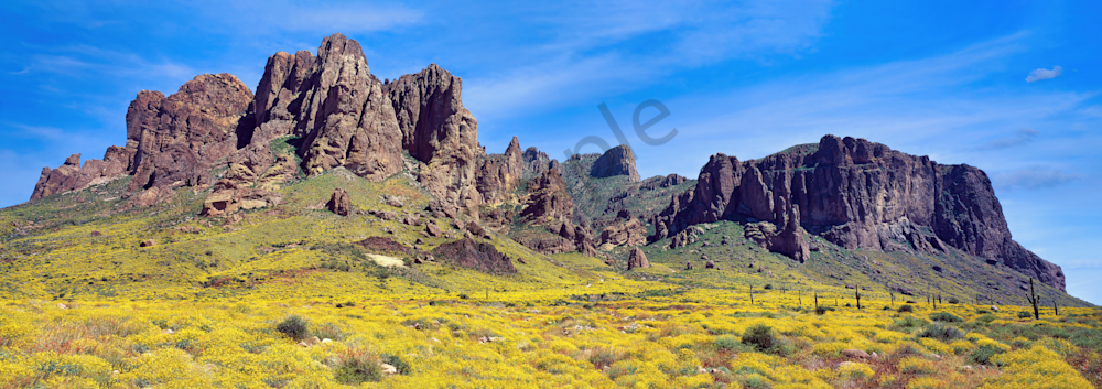 Art Print Superstition Mountains Arizona Super Desert Bloom