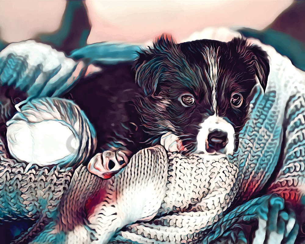 Basket_Puppy