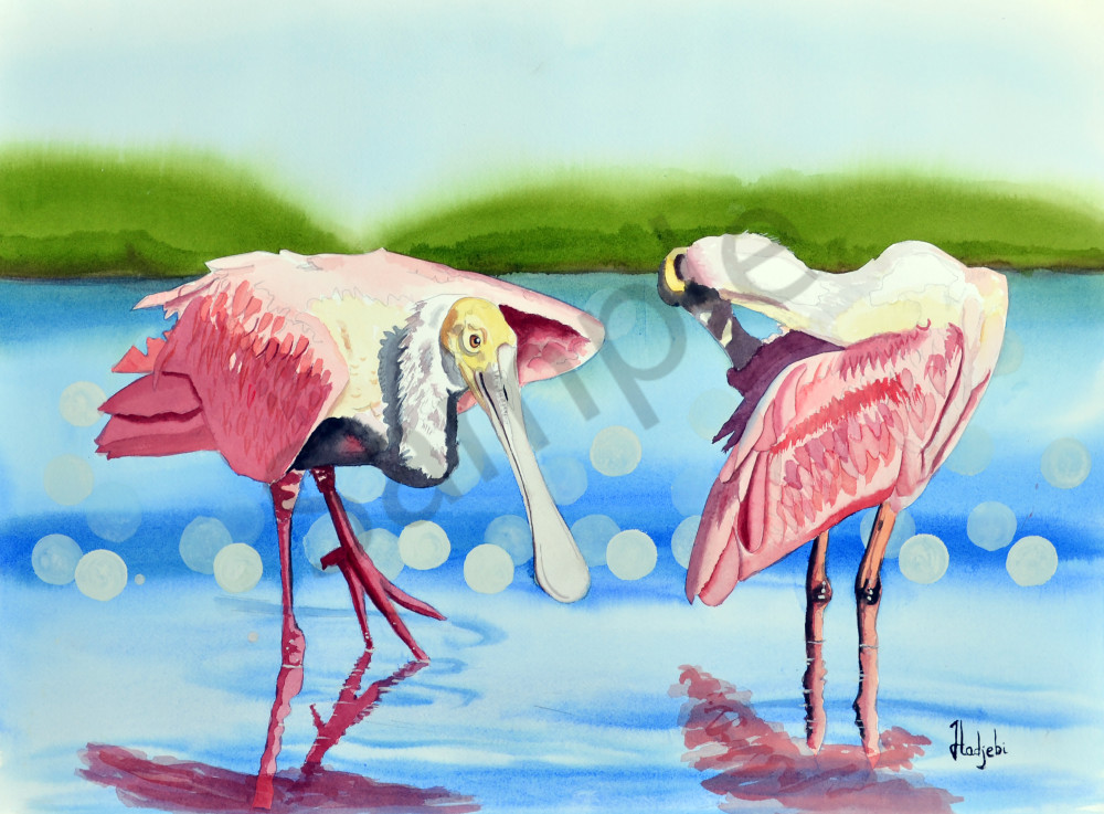 Roseate Morning Spoonbills Art | watercolorsbyshah