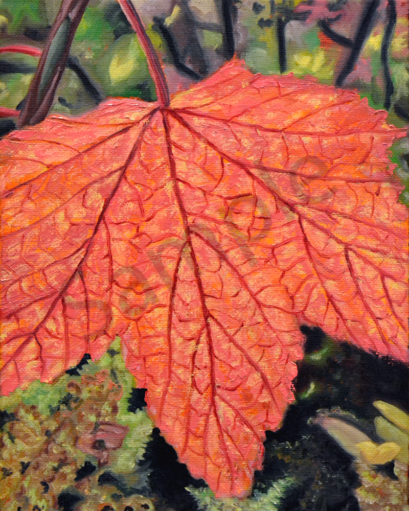 Autumn Fire (High Bush Cranberry) Art | Shawn B Studios