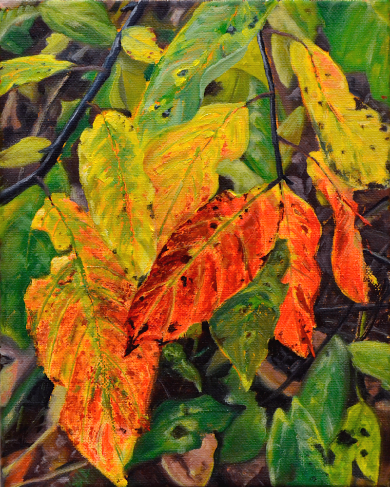 Autumn Fire (Willow) Art | Shawn B Studios