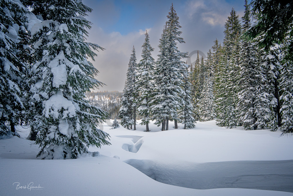 Creek And Todd Lake Snow Photography Art | Barb Gonzalez Photography