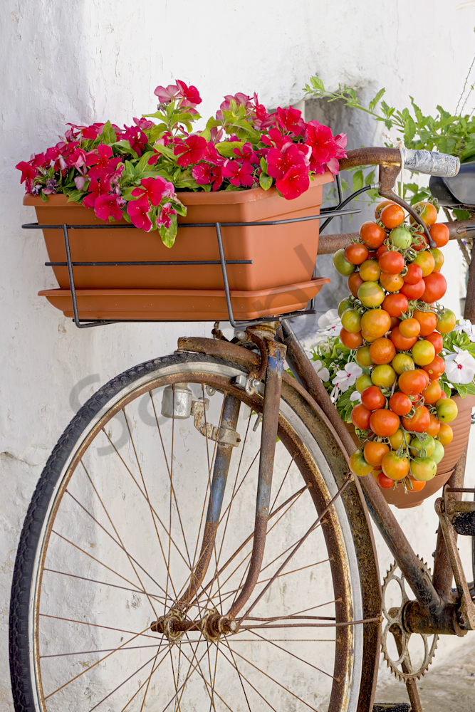 Art Print Alberobello Bari Puglia Italy Ornamental Bike