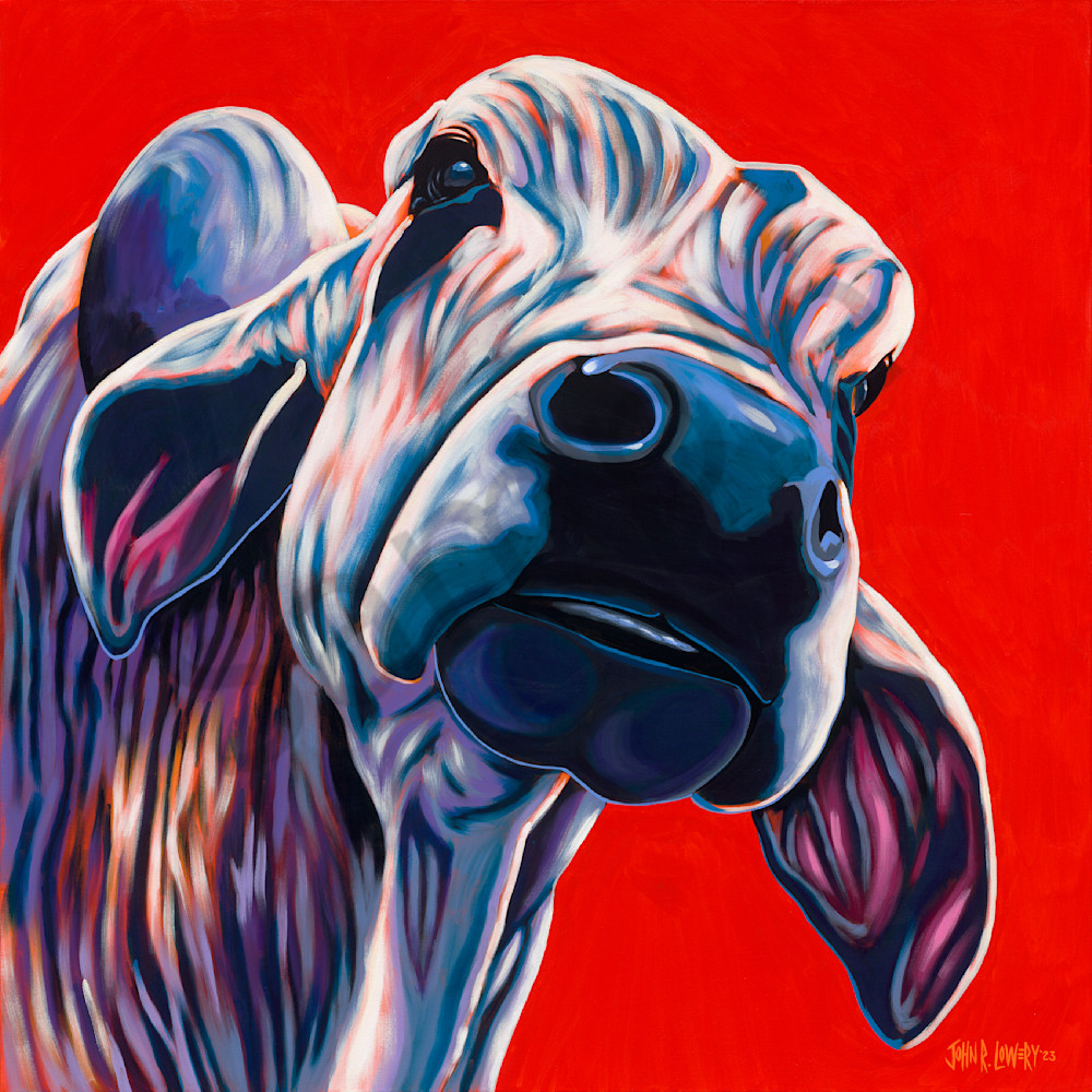 Colorful Brahman paintings by Texas artist, John R. Lowery, available as art prints.