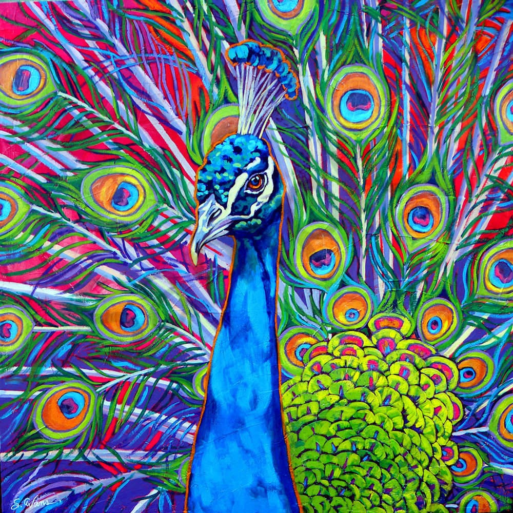 Peacock Dances In Red Art | Sally C. Evans Fine Art