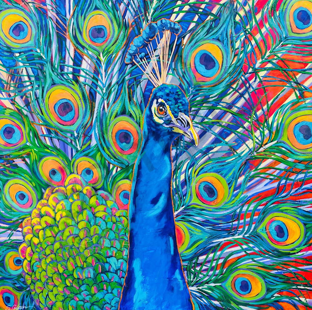 Proud Peacock 1 Art | Sally C. Evans Fine Art