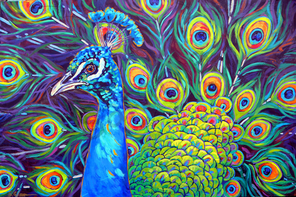 Peacock  Art | Sally C. Evans Fine Art