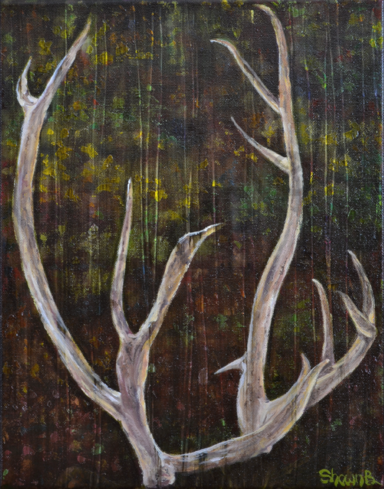 Caribou Art | Shawn B Studios