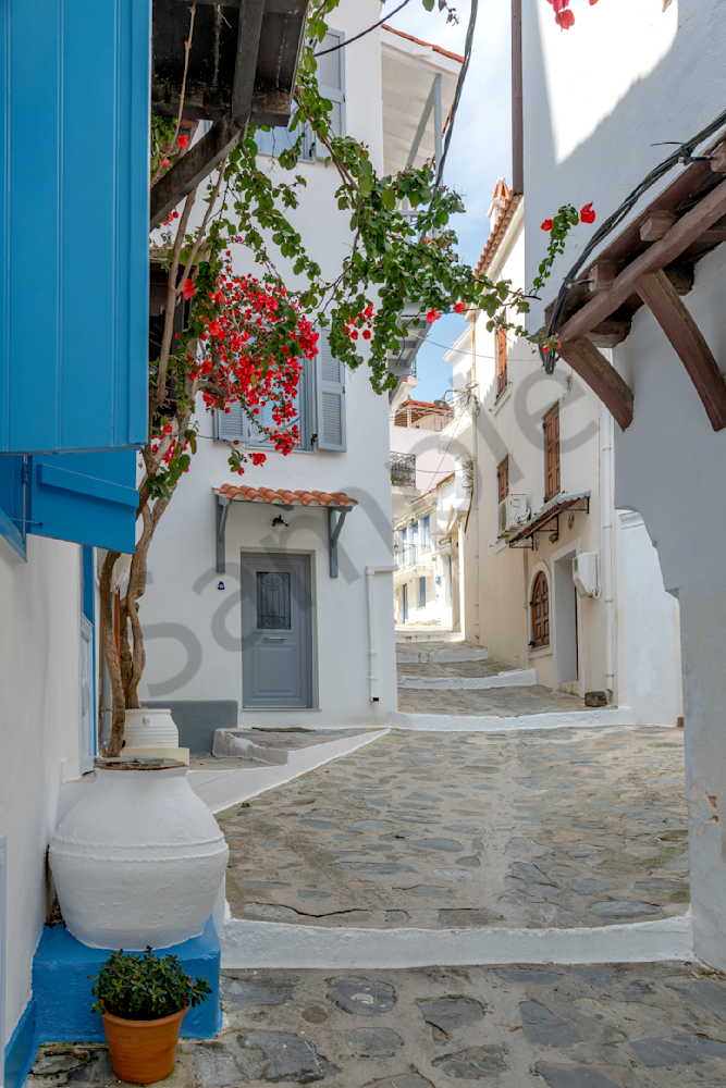 Art Print Skopelos Greece Blue Shutters Way