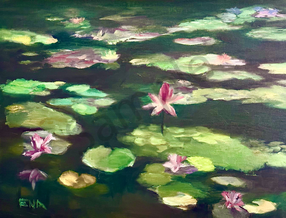 Water Lilies  Art | Ena M Raquer