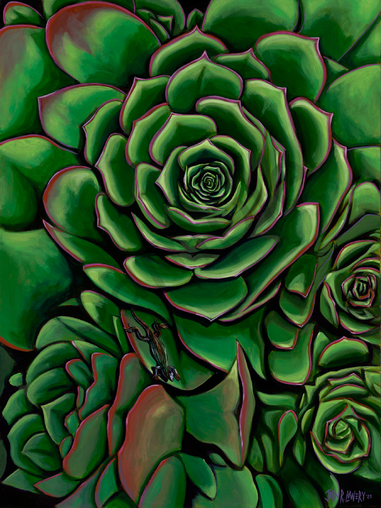 Succulent and lizard paintings by John R. Lowery, available as art prints.