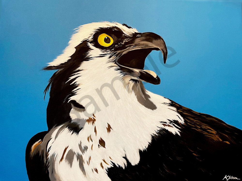 Bold Osprey Art | Kathleen Slaven Art