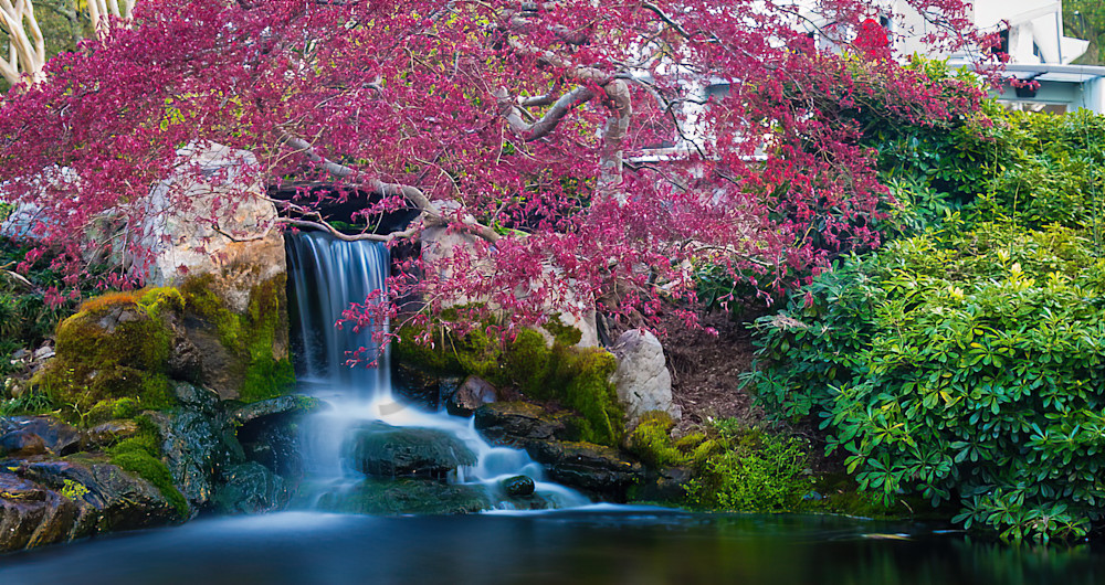 Japanese Garden Photography Art | Nate C Photography