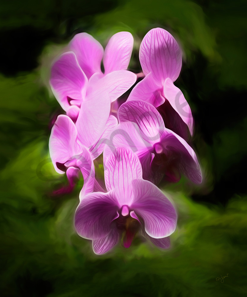 Elegant Orchid Symphony